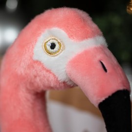 The Petting Zoo Flamingo Stuffed Animal Plushie, Gifts for Kids, Earth Keeperz Wildlife Animals, Zoologee Pink Flamingo Plush Toy, 10 inches
