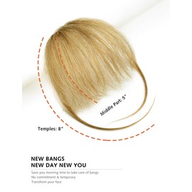 DILUSILK Bangs Hair Clip in Fringe Bangs Remy Real Human Hair Pieces for Women Daily Wear Wispy Bangs Standard Dark Blonde