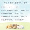 [Melmo] Pet Urn, Mold Prevention, Diatomaceous Earth, Mini Urn, Cremation