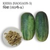mahin agro KHIRA SEEDS / BROWN CUCUMBER / BROWN RUSSIAN