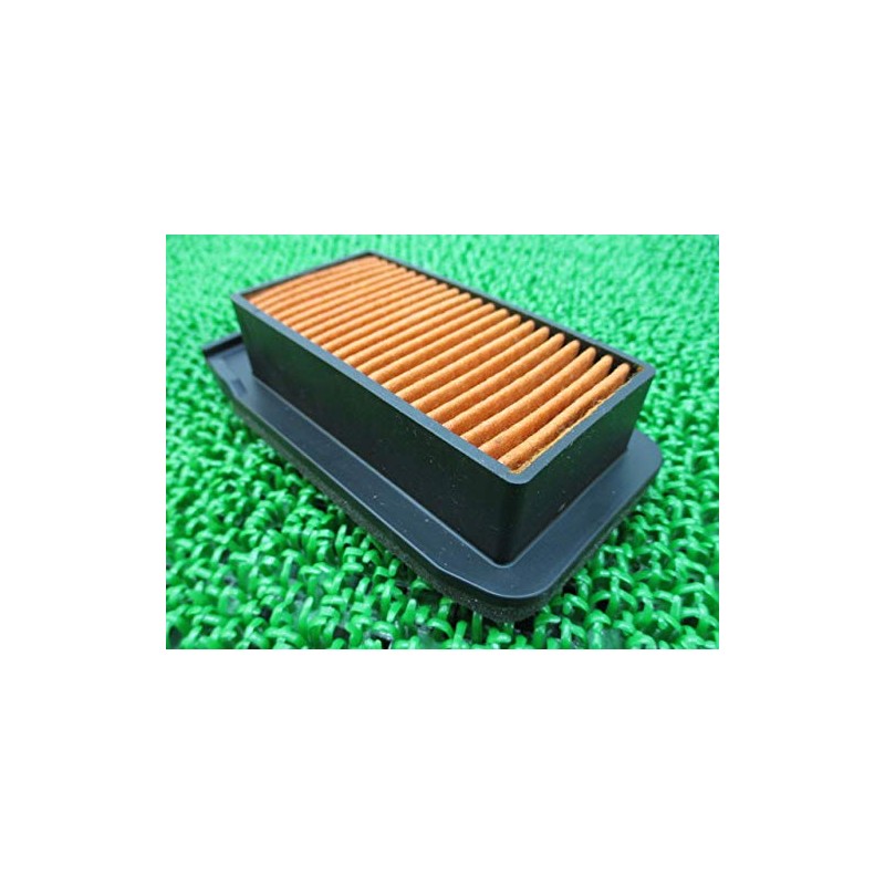 Genuine Yamaha Motorcycle Parts Celo 250 Air Filter Genuine 5XT-14451-00