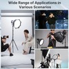 ULANZI TT43 Light Stand Tripod, Extendable 6.23ft Tripod Stand Photography