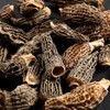 Roi des montagnes Dried Morels Extra Premium 25g