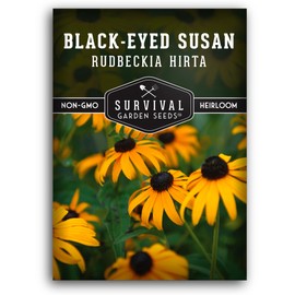 Blackeyed Susan Wildflower Seeds for Planting - 1 Packet with Instructions to Plant and Grow Perennial Flowers in Your Home Garden - Non-GMO Heirloom Variety - Supports Healthy Ecosystems