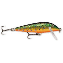 Rapala Countdown 01 Fishing lure, 1-Inch, Brook Trout