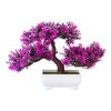 Plantas Artificiales, Bonsái, Maceta Pequeña, Planta Falsa,