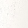 Winsor & Newton 8840010 Winton, fine high-quality oil paint, 200
