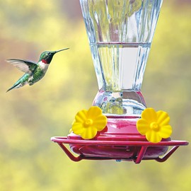 28 PCS Hummingbird Feeder Parts Hummingbird Feeders Replacement Flowers for Outdoors Bird Feeding Ports