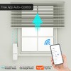 WiFi DIY Smart Motorized Chain Roller Blinds Shade Shutter Drive