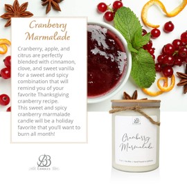 BB Candles Winter & Fall Collection - Natural Soy Hand Poured Fragrant Candles, Frosted Jars with Bamboo Lid, Ideal for Home Decor & Relaxation, 90+ Hours Burn Time, 12oz (Cranberry Marmalade 2)