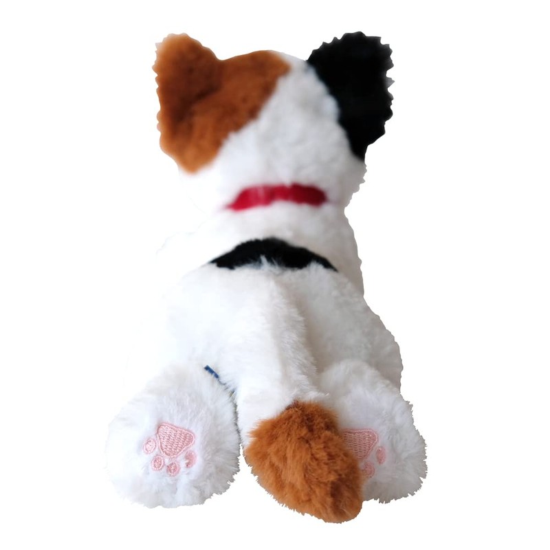 San Lemon Knee Cat SS Miket P-8052