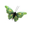 Cartanfill-Decorative 3D Butterfly Clips, Green Feather Design, Set of 12,