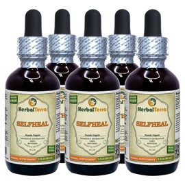 Selfheal (Prunella Vulgaris) Tincture, Organic Dried Herb Liquid Extract (Brand Name: HerbalTerra, Proudly Made in USA) 5x2 fl.oz (5x60 ml)