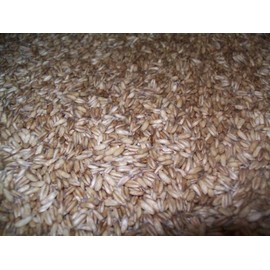 Whole Oat Groats: Raw Hulless Oats, Farmer Direct 15 lbs. (Clear Poly Plastic Bag (Organic))