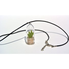 Terrarium Flower Necklace - Apple Cactus - Live Cacti Succulent Plant Necklace Keychain - Boo-Boo Plant (Apple Cactus, 18" Necklace Leather Cowhide)