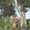 Onwon 35 Inch Hanging Chain for Bird Feeders, Planters, Suet