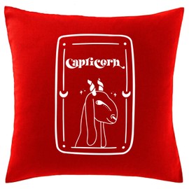 Hippowarehouse Tarot Style Capricorn Printed bedroom accessory cushion cover case 41x41cm