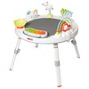 Skip Hop Baby Activity Center: Interactive Play Center with 3-Stage