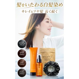 biseno 白髪ケア しっかり染めて きれい続く 3点セット ナチュラルブラック ヘアカラートリートメント アルミヘアキャップ ヘアオイル ジアミンフリー レディース メンズ 植物由来