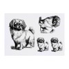 Azeeda 4 x 'Pekingese stehend' Temporäre Tattoos - Wasserfest, Hautfreundlich