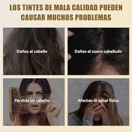 Shampoo para Canas 3 en 1, Shampoo Tinte Instantaneo Cubre Canas, Tinte Capilar de Acción Rápida, Suave y no Dañino, Ideal para Hombres y Mujeres, 500