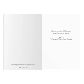 DAYSPRING CHRISTMAS CHRIST IS BORN 18 Cards W/ Envelopes - NLT Scripture J8847