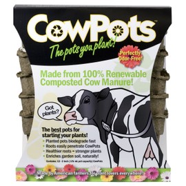 CowPots CP3-12 3-Inch, 12-Pack, 3 inch