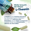 L-Theanine Amino Acid with Lemon Balm 500mg - Alternative to