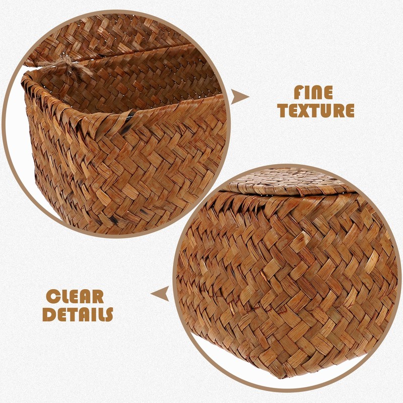 Gatuida Rectangular Wicker Baskets with Lids, Seagrass Storage Baskets with