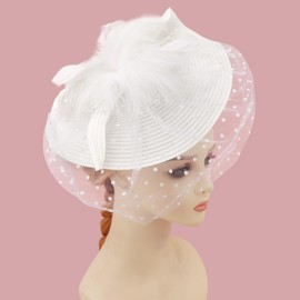 DRESHOW Fascinators Hat Mesh Veil Feathers Hat with a Headband and a Clip Tea Party Headwear for Women
