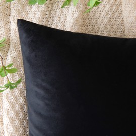 EMEMA Velvet Cushion Covers Black Decorative Throw Pillow Case 12x20 Inch 30x50 cm Pillow Covers for Livingroom Sofa Bedroom Pack of 2