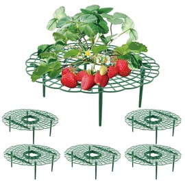 Wuyue Hua 5 Pack Strawberry Growing Stand Strawberry Fruit Protection Support Stand Strawberry Plant Growing Stand