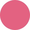 PREGEL Muse PGU-M1015 Color Gel, Miracle Pink, 0.1 oz (3