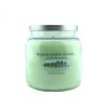 Scentsational Soaps & Candles Natural Soy Wax Candle Island Retreat