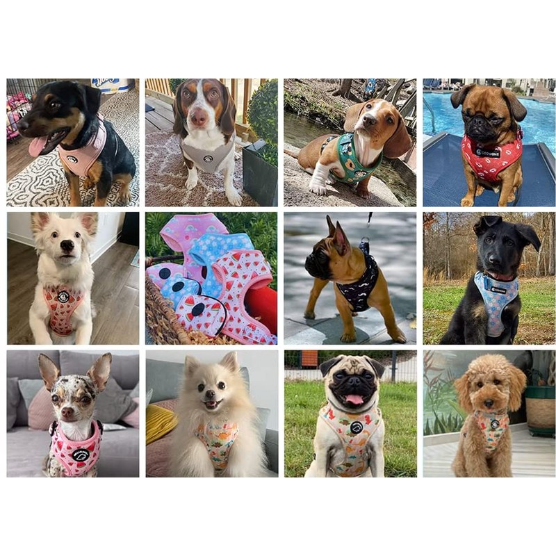 Dog Harness and Leash Set, Adjustable Dog Harness, Dog Leash,