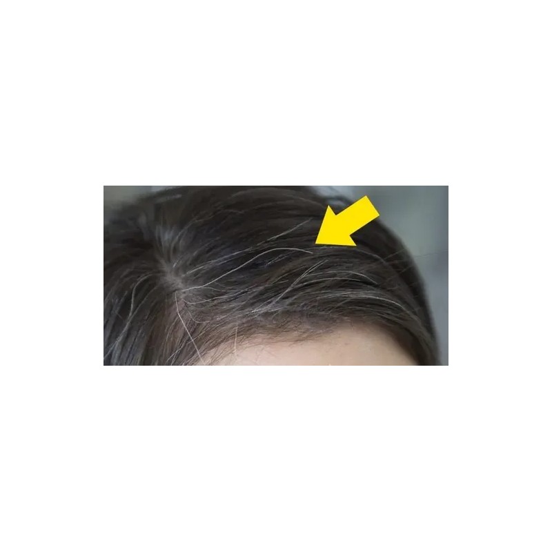 Shelo Shampoo Para Cubrir Canas De Organo Y Nogal 500ml