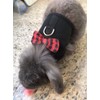 Bunny Kitten Harness No Pull Cat Leash Stylish Vest Harness