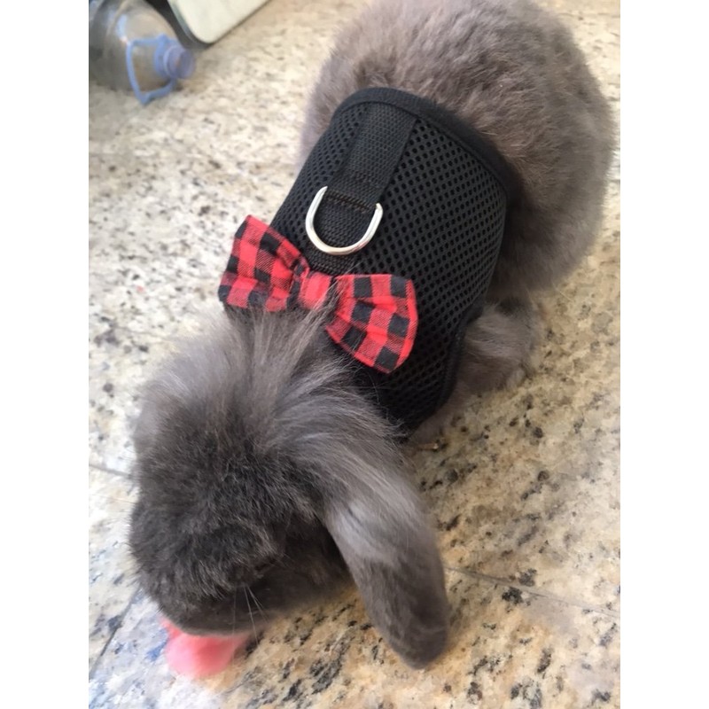 Bunny Kitten Harness No Pull Cat Leash Stylish Vest Harness