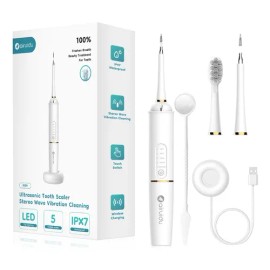 Dental Limpiador Escalador Quita Sarro Y Placa Ultrasónico