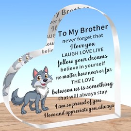 AMZQ Brother Gifts, Brother Gifts from Brother Sister, Brother Christmas Birthday Gifts