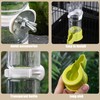 Shengsenfu Automatic Bird Water Dispenser, Parrot Feeder, Bird Cage Suspended