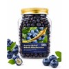 Freeze-Dried Whole Blueberries (6.6 oz / 187g) - Natural Crunchy