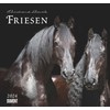 Cal. 2024 Frisian