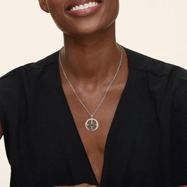 Jewmon Graduation Gifts for Her 925 Sterling Silver Compass Necklace for Womens May Birthstone Necklace Coordinate Engraved I'd be Lost without You Compass Jewelry Gifts for Daughter FP0250G