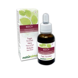 Beech or Red Beech (Fagus sylvatica) Bach Flowers Naturalma | No. 3 | Drops 30 ml | Alcohol-free Liquid Extract | Flower Essences | Vegan and Alcohol-Free