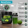 Creatina Polvo 300g Hydrashot