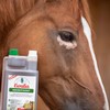 EWALIA Immune Vital Juice - Strengthening Supplementary Feed for Horses,
