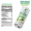 Elephant World 100% Natural Soursop Guanabana Juice 10.8 oz (Pack