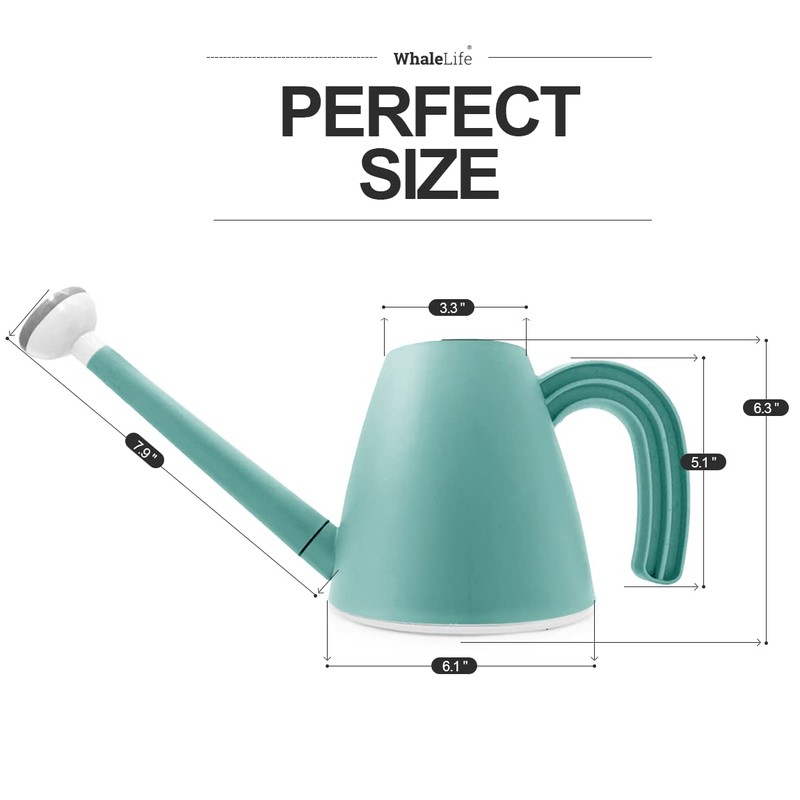 WhaleLife Indoor Watering Can for House Bonsai Plants (2.0L, Blue)