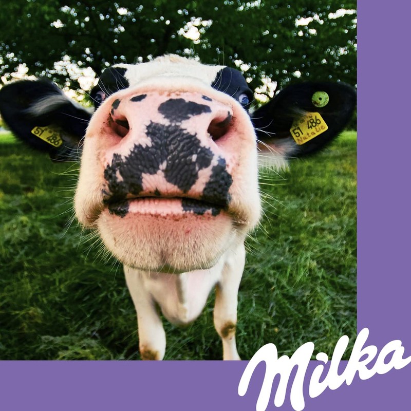 Milka & Oreo 5 x 37 g